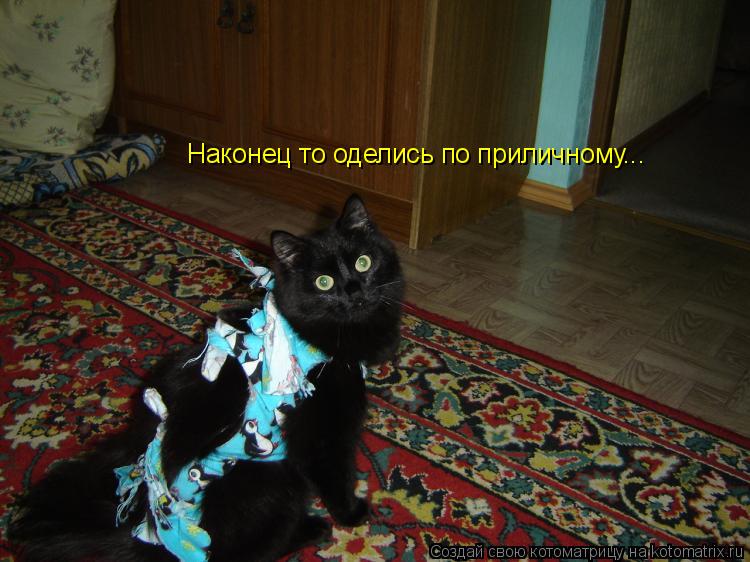 Котоматрица: Наконец то оделись по приличному...