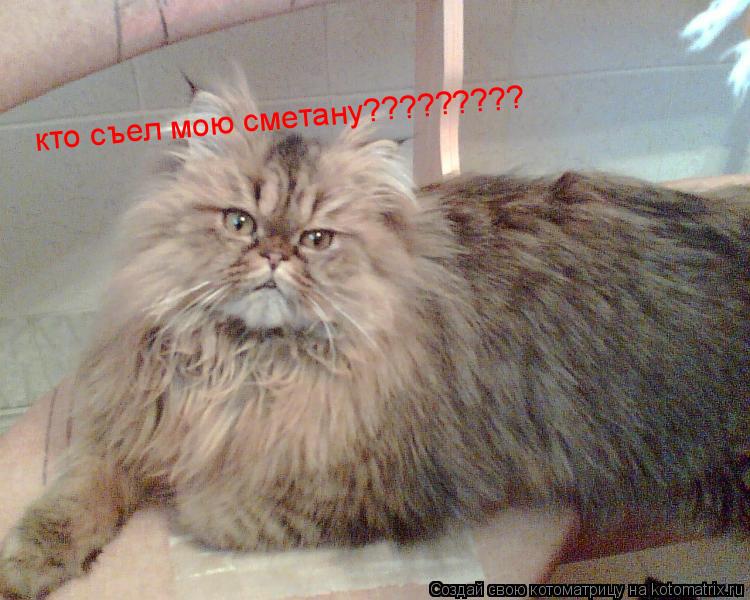 Котоматрица: кто съел мою сметану?????????