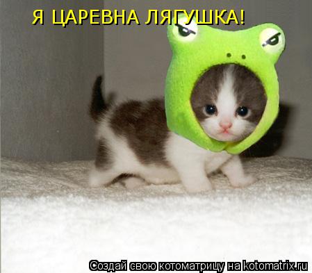Я ЦАРЕВНА ЛЯГУШКА!... Котоматрица: Я ЦАРЕВНА ЛЯГУШКА!