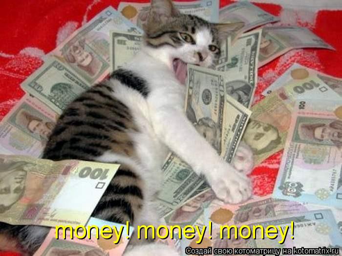 Котоматрица: money! money! money!