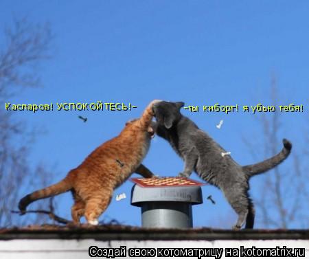 -ты киборг! я убью тебя! Каспаров! УСПОКОЙТЕСЬ!-... Котоматрица: -ты киборг! я убью тебя! Каспаров! УСПОКОЙТЕСЬ!-