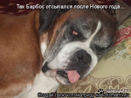 Котоматрица: Так Барбос отсыпался после Нового года...