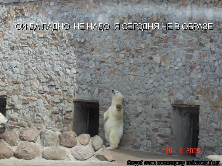 Котоматрица: ОЙ ДА ЛАДНО  НЕ НАДО  Я СЕГОДНЯ НЕ В ОБРАЗЕ