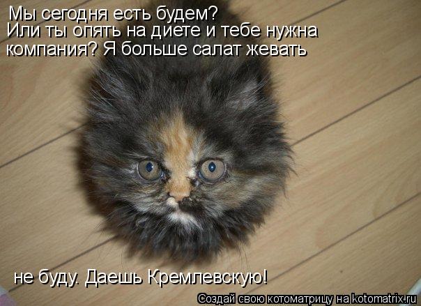 Мы сегодня есть будем? Или ты опять на диете и тебе нужна компания? Я больше салат жевать не буду. ... Котоматрица: Мы сегодня есть будем? Или ты опять на диете и тебе нужна компания? Я больше салат жевать не буду. Даешь Кремлевскую!
