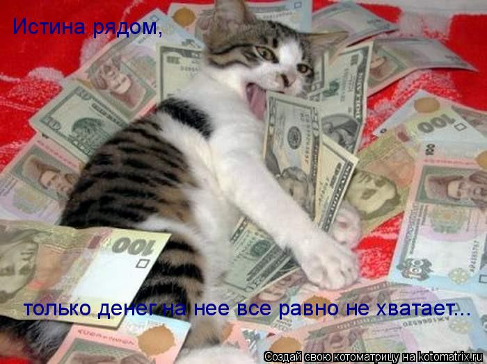 Котоматрица: только денег на нее все равно не хватает... Истина рядом,