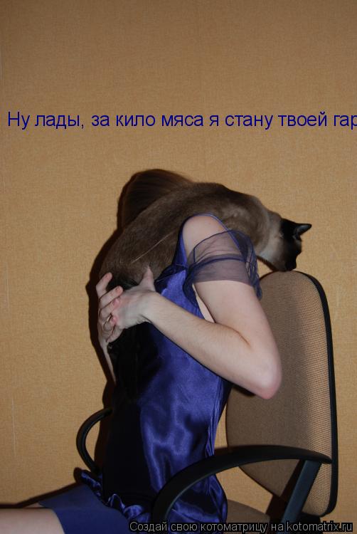 Котоматрица: Ну лады, за кило мяса я стану твоей гаржеткой