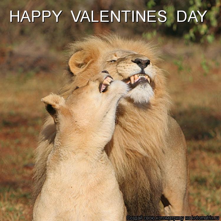 Котоматрица: HAPPY  VALENTINES  DAY