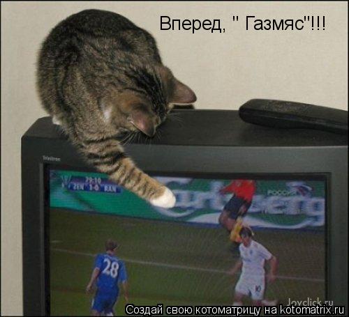 Котоматрица: Вперед, " Газмяс"!!!