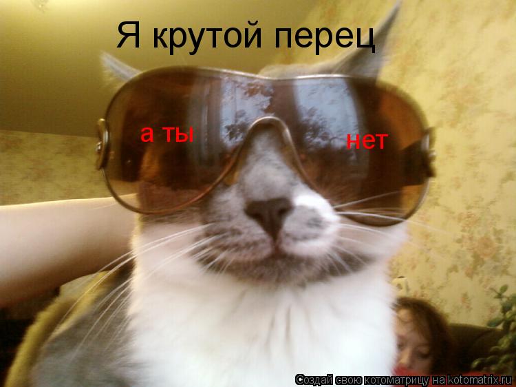 Котоматрица: Я крутой перец а ты нет