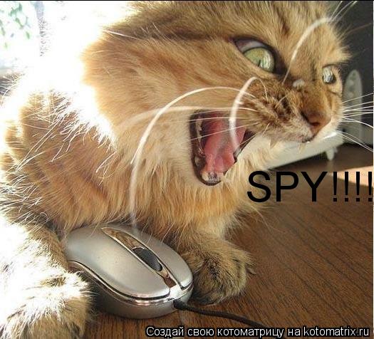 Котоматрица: SPY!!!!!!!!!
