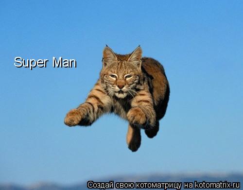 Котоматрица: Super Man