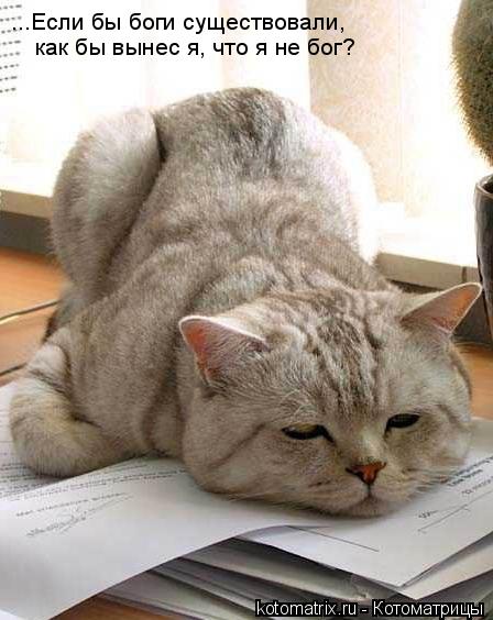 Котоматрица: ...Если бы боги существовали,  как бы вынес я, что я не бог?