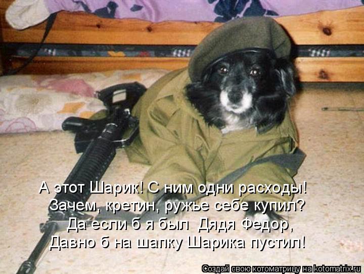 А этот Шарик! С ним одни расходы! Зачем, кретин, ружье себе купил? Да если б я был Дядя Федор, Давно... Котоматрица: А этот Шарик! С ним одни расходы! Зачем, кретин, ружье себе купил? Да если б я был Дядя Федор, Давно б на шапку Шарика пустил!