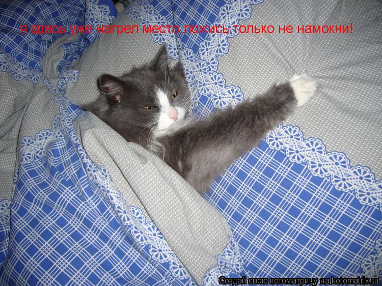 я здесь уже нагрел место ложись только не намокни! я здесь уже нагрел место ложись только не намокни!... Котоматрица: я здесь уже нагрел место ложись только не намокни! я здесь уже нагрел место ложись только не намокни!