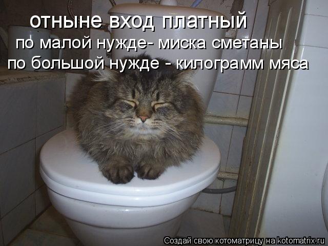 Котоматрица: отныне вход платный по малой нужде- миска сметаны по большой нужде - килограмм мяса