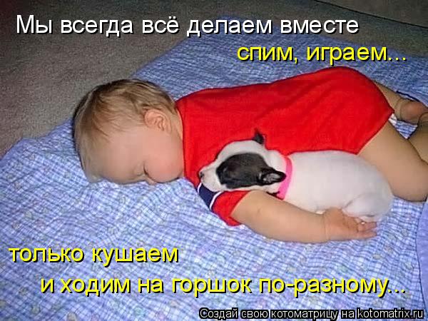 Котоматрица: Мы всегда всё делаем вместе спим, играем... только кушаем  и ходим на горшок по-разному...