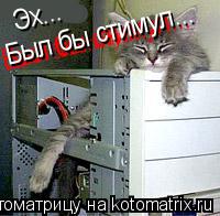 Котоматрица: Эх... Был бы стимул... Был бы стимул... Был бы стимул...