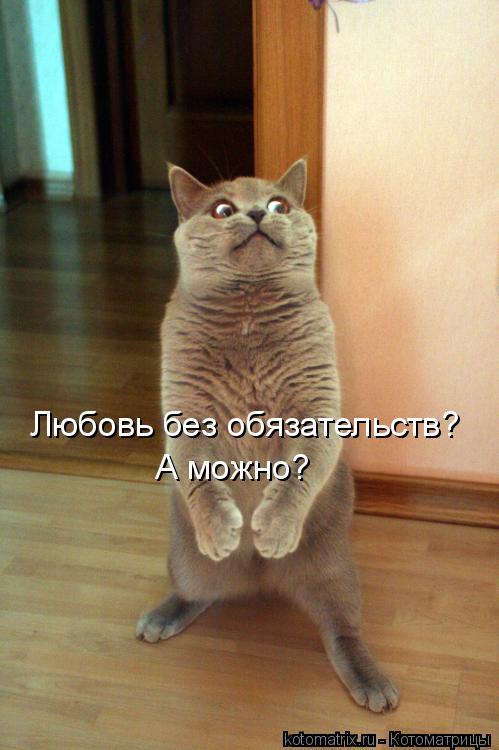 Любовь без обязательств? А можно?... Котоматрица: Любовь без обязательств? А можно?