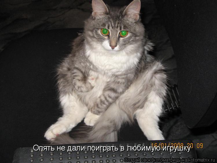 Котоматрица: Опять не дали поиграть в любимую игрушку