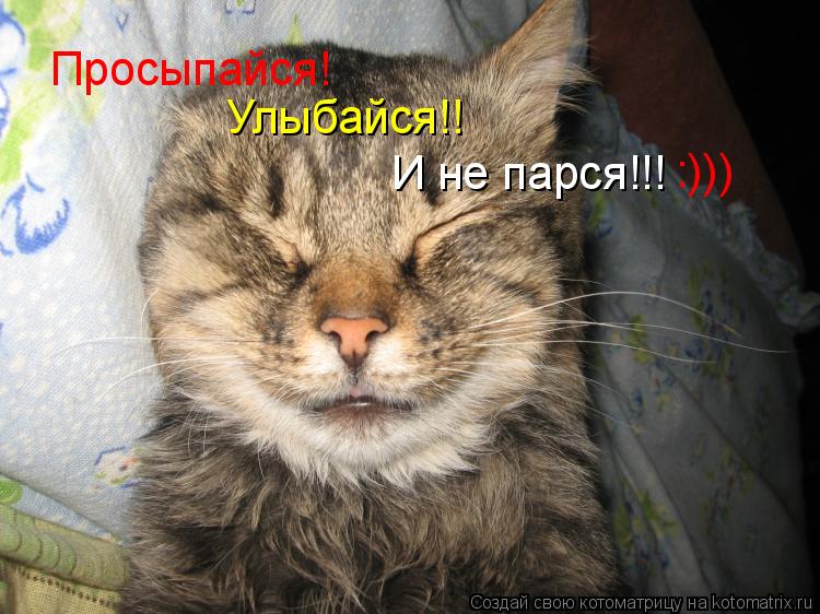 Котоматрица: Просыпайся! Улыбайся!! И не парся!!! :)))
