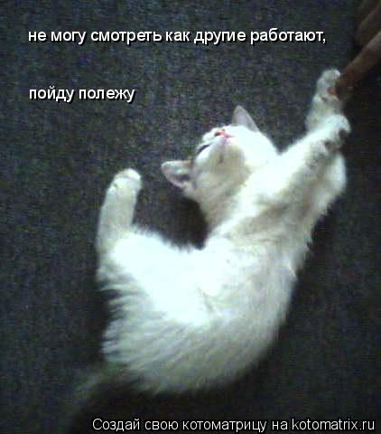 Котоматрица: не могу смотреть как другие работают, пойду полежу