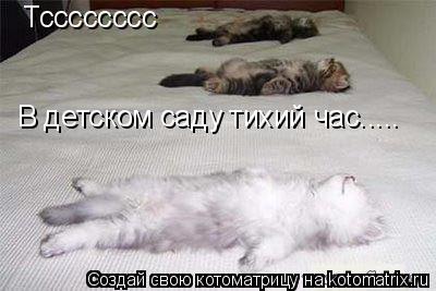 Котоматрица: Тсссссссс В детском саду тихий час.....