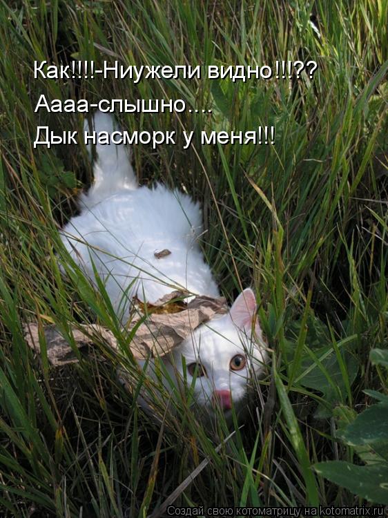 Как!!!!-Ниужели видно!!!?? Дык насморк у меня!!! Аааа-слышно....... Котоматрица: Как!!!!-Ниужели видно!!!?? Дык насморк у меня!!! Аааа-слышно....