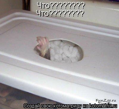 Котоматрица: Что???????? Что????????