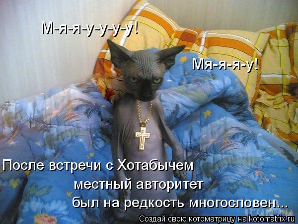 Котоматрица: местный авторитет После встречи с Хотабычем  был на редкость многословен... Мя-я-я-у! М-я-я-y-y-y-y!