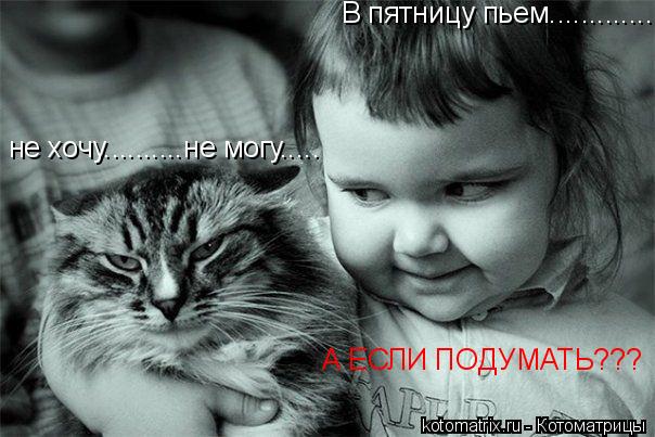 Котоматрица: В пятницу пьем............................ не хочу..........не могу..... А ЕСЛИ ПОДУМАТЬ???