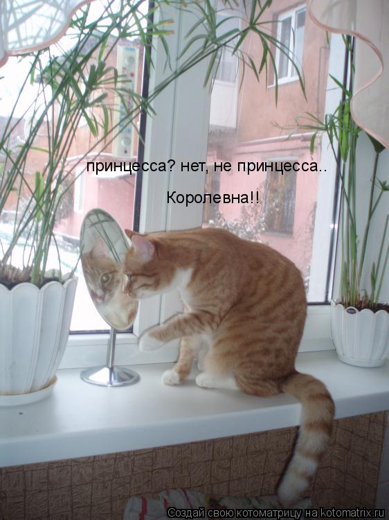 Котоматрица: принцесса? нет, не принцесса..  Королевна!!