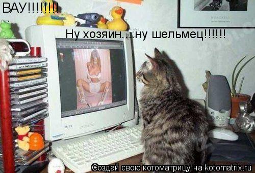 Котоматрица: ВАУ!!!!!!!! Ну хозяин....ну шельмец!!!!!!