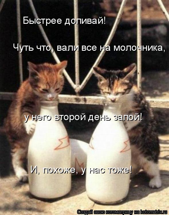 Котоматрица: Быстрее допивай! Чуть что, вали все на молочника, у него второй день запой! И, похоже, у нас тоже!