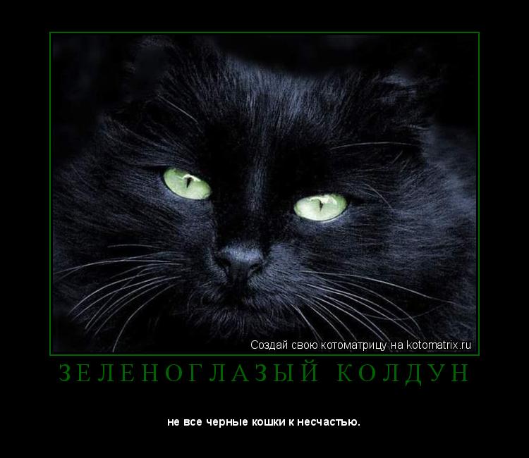 Котоматрица: З Е Л Е Н О Г Л А З Ы Й   К О Л Д У Н 