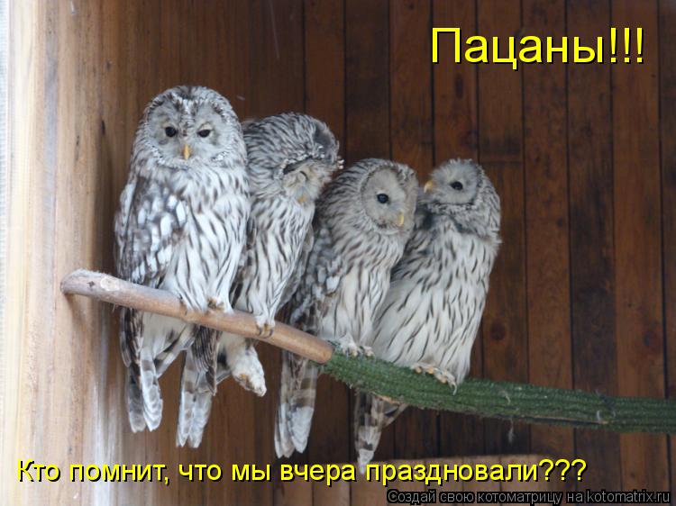 Котоматрица: Пацаны!!! Кто помнит, что мы вчера праздновали???