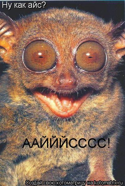 Котоматрица: ААЙЙЙСССС! Ну как айс?