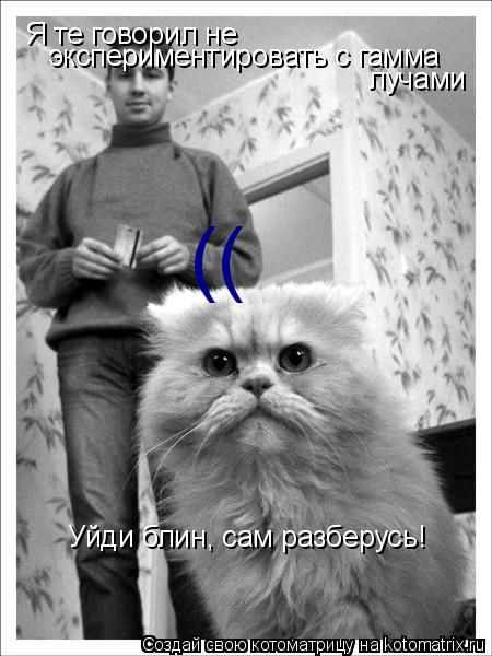 Котоматрица: Я те говорил не  экспериментировать с гамма лучами Уйди блин, сам разберусь! ((           ))
