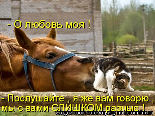 Котоматрица: - О любовь моя ! - Послушайте , я же вам говорю , мы с вами СЛИШКОМ разные !