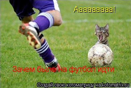 Ааааааааа! Зачем было на футбол идти... Котоматрица: Ааааааааа! Зачем было на футбол идти