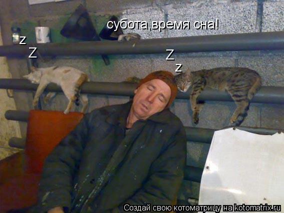 Котоматрица: субота,время сна! Z z z Z