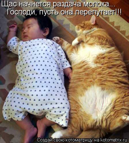 Щас начнется раздача молока... Господи, пусть она перепутает!!!... Котоматрица: Щас начнется раздача молока... Господи, пусть она перепутает!!!