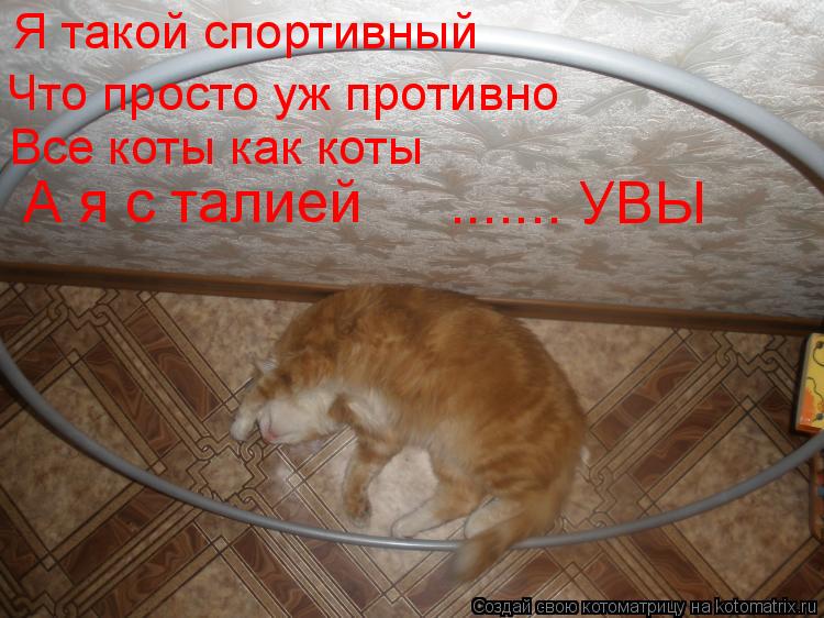 Котоматрица: Я такой спортивный Что просто уж противно Все коты как коты А я с талией ....... УВЫ