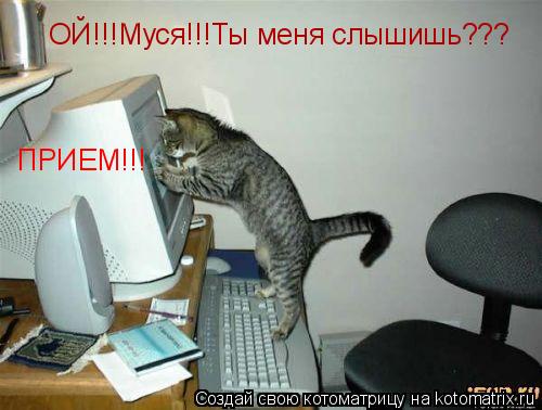 Котоматрица: ОЙ!!!Муся!!!Ты меня слышишь??? ПРИЕМ!!!