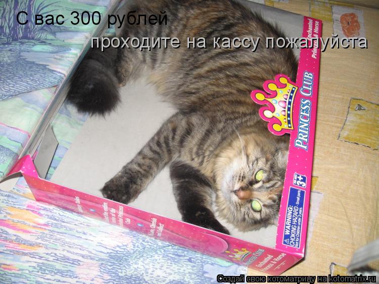 Котоматрица: C вас 300 рублей проходите на кассу пожалуйста