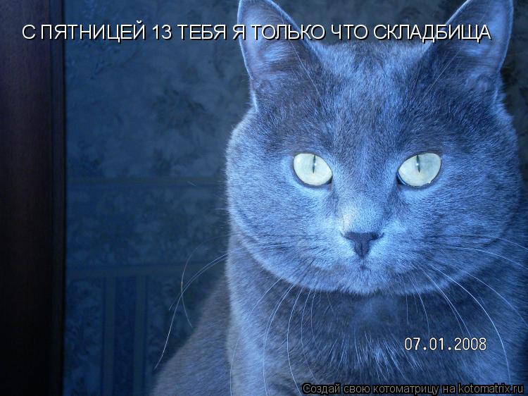 С ПЯТНИЦЕЙ 13 ТЕБЯ Я ТОЛЬКО ЧТО СКЛАДБИЩА... Котоматрица: С ПЯТНИЦЕЙ 13 ТЕБЯ Я ТОЛЬКО ЧТО СКЛАДБИЩА