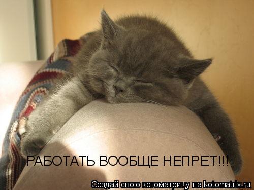 Котоматрица: РАБОТАТЬ ВООБЩЕ НЕПРЕТ!!!
