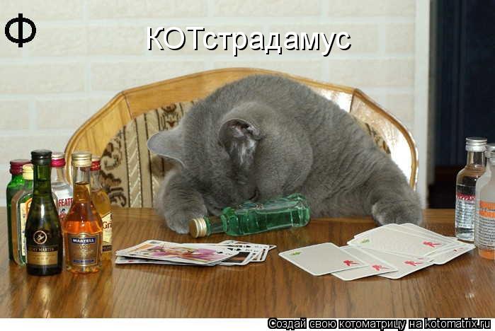 КОТстрадамус... Котоматрица: КОТстрадамус