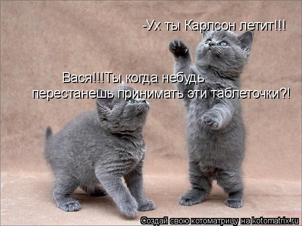 Котоматрица: -Ух ты Карлсон летит!!! Вася!!!Ты когда небудь перестанешь принимать эти таблеточки?!