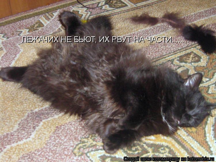 ЛЕЖАЧИХ НЕ БЬЮТ, ИХ РВУТ НА ЧАСТИ........... Котоматрица: ЛЕЖАЧИХ НЕ БЬЮТ, ИХ РВУТ НА ЧАСТИ........