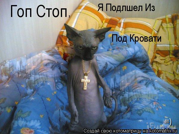 Котоматрица: Гоп Стоп , Я Подлшел Из Под Кровати =)